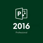 Project 2016 Professional CD Key
