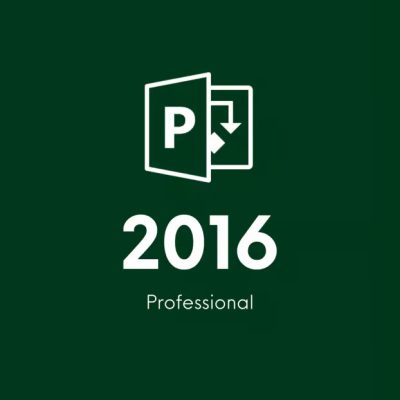 Project 2016 Professional CD Key