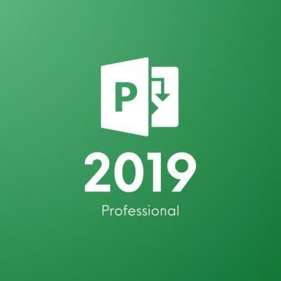 Project 2019 Professional CD Key
