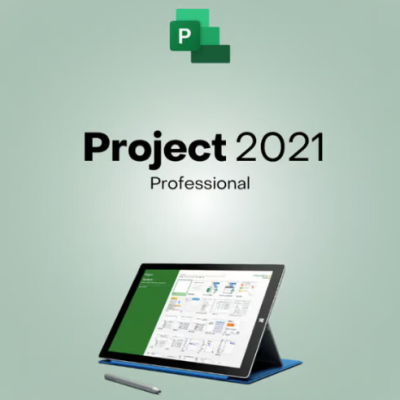 Project 2021 Professional CD Key
