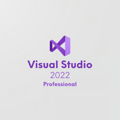 Visual Studio 2022 Professional CD Key