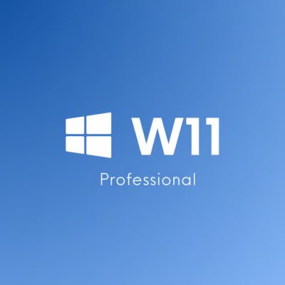 Windows 11 Pro 5PC CD Key