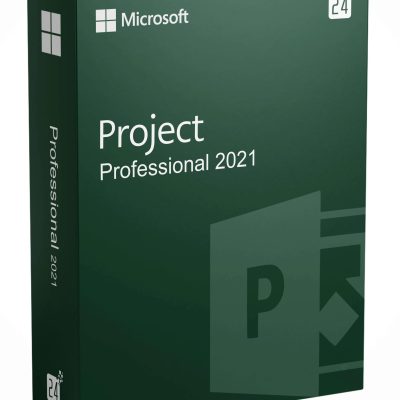 Project 2021 Professional